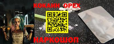 крисы Партизанск