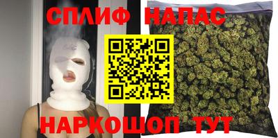 крисы Партизанск