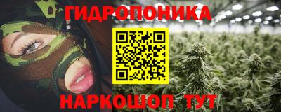 крисы Партизанск