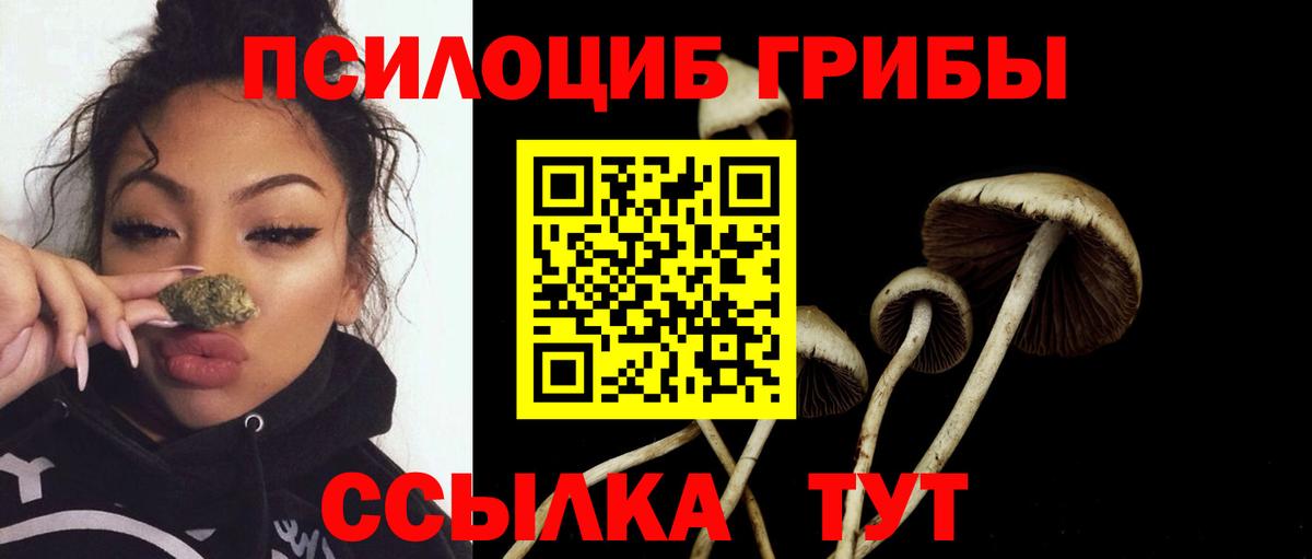 Галлюциногенные грибы прущие грибы  цена наркотик  Сунжа  Вход с VPN 